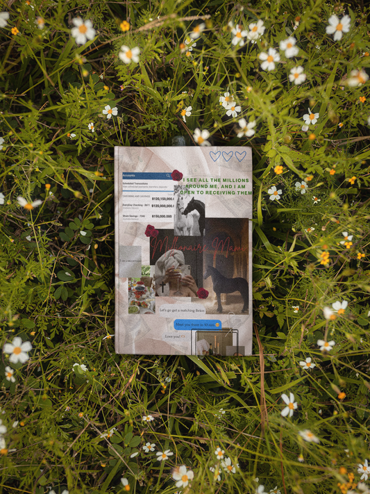 Millionaire Mami Journal